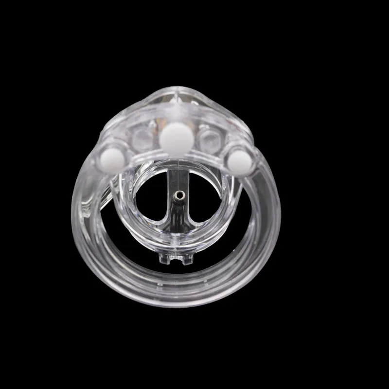 3589706066_222136412