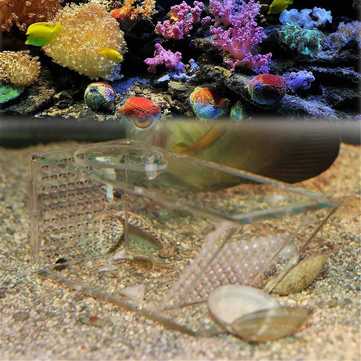 Acrylic Aquarium Shrimps Crabs Trap Box One-way Valve Safe Catch Box Fish Tank Supplies Transparent Acrylic Fishing Boxes Clear