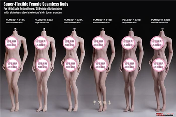 

1:6 Super- Flexible Female Seamless Body with Stainless Steel Skeleton TBLeague S18A 19B 20A 21B 22A 23B for 1:6 Action Figure