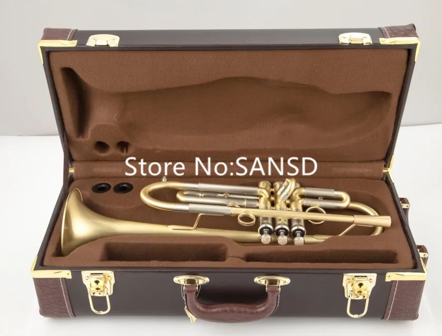 Bach Bb Trumpet Brass Plated Professional Musical Instruments Case