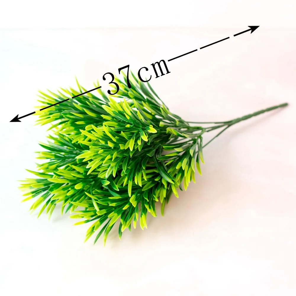 11165306747_366182050