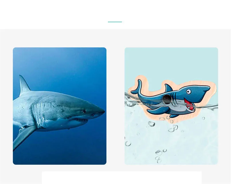 12357810621_1912706311