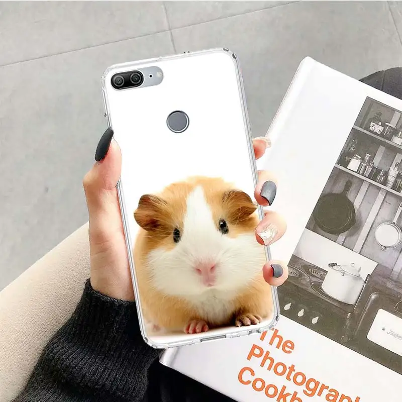 TR082-3 Гвинея чёрный футляр с рисунком поросёнка который животное синий чехол для huawei Honor 9 10 20 Lite рro 9X 8X 8A 8C фотоаппаратов моментальной печати 7S 7A 7C Y5 Y6 Y7 Y9 мягкий чехол для мобильного телефона c Co - Цвет: TR082-3