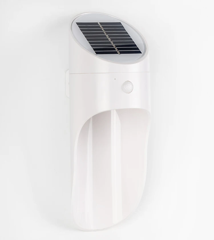 white shell description