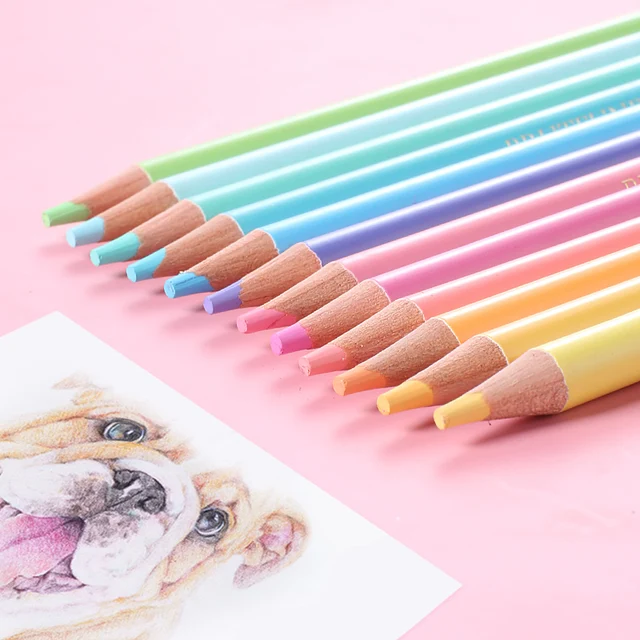 Ecotree 12 Pcs/PET Box Pastel Macaron Cute Colored Pencils Professional  Drawing Color Pencil Set for Art and School Supplies