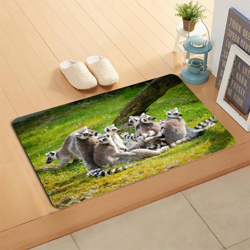 Custom Lemur Animal Doormat Floor/Bath/Kitchen/Beach Mat Flannel Sponge Fabric 3D Printed Shaggy Decoration For Bedroom - Цвет: 10
