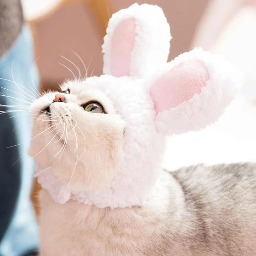 307640_no-logo_307640-1-05-g