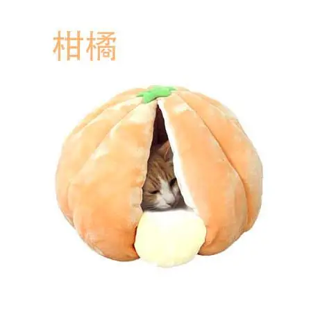 Tangerine