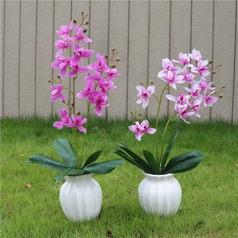 3 вилки Восточной Азии Орхидея Cymbidium Faberi искусственный цветок сохраненный свежий