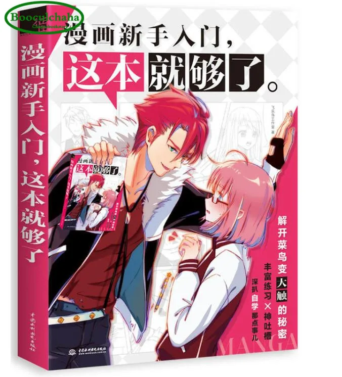 

Comic novice entry drawing book, One book is enough