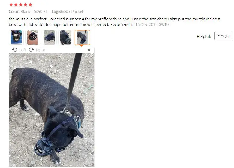 QQ截图20200216174326