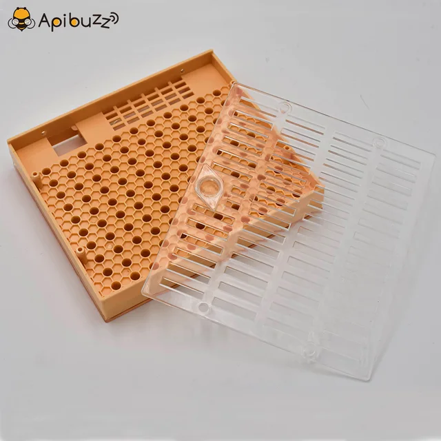 A Queen Bee Tenyésztő Starter Készletek - Nicot System Cupularve Hajhenger -Ketrecekkel Méhészeti Felszerelések Kezdő Méhész Eszközök - Image 4