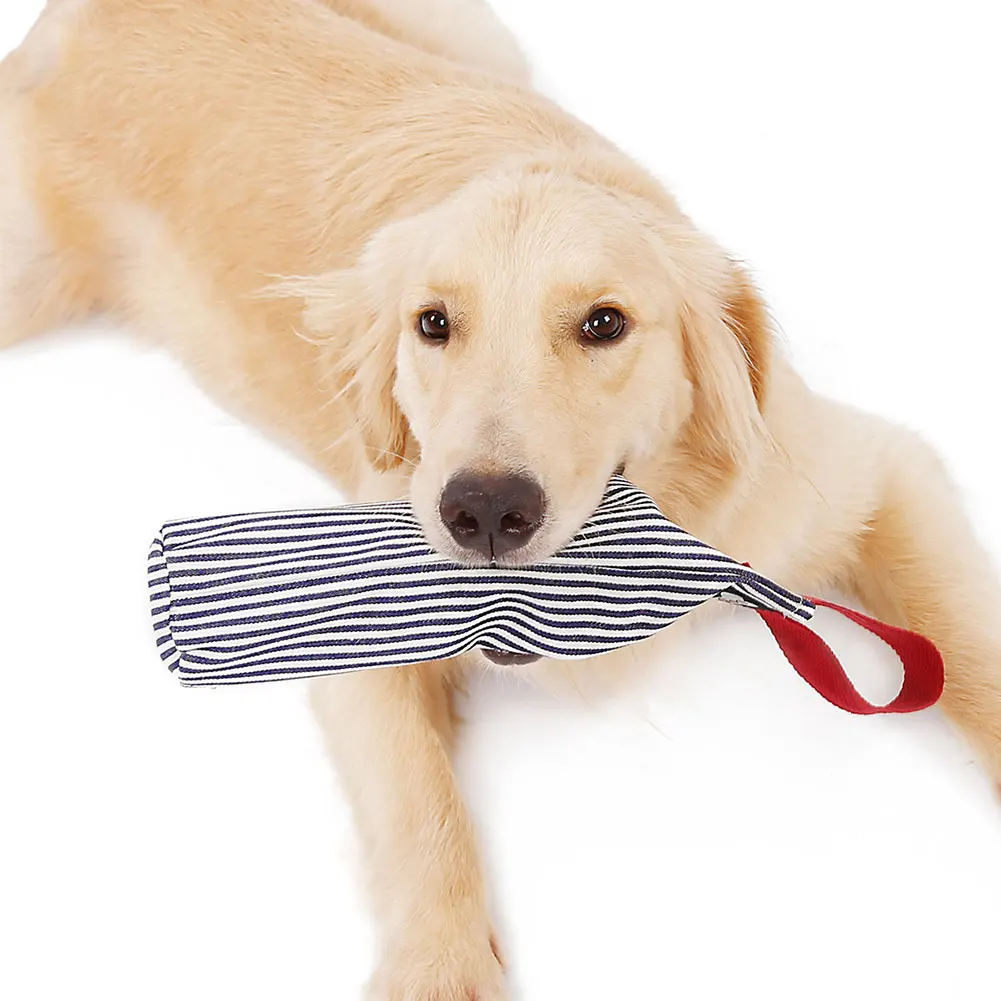 dog chewing plastic bottle