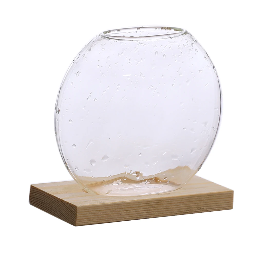 Cute Clear Hydroponic Plants Vase Home Office Desktop Decor Planter Gifts