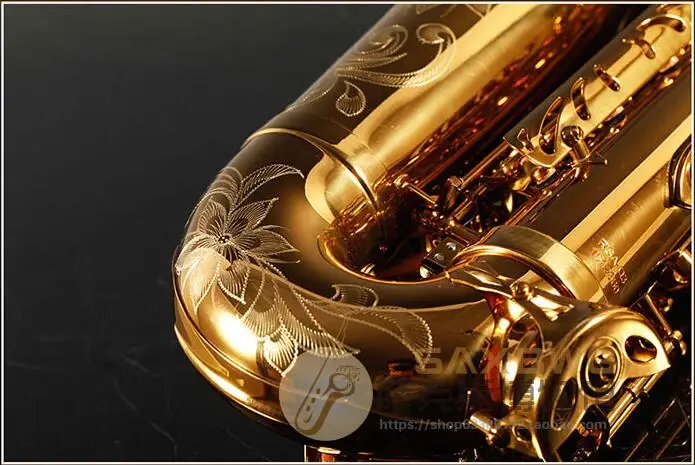 Top France Rollinsax Q3 Alto E Flat Saxophone Brass Instruments Body Gold Lacquer for Adult Alto Saxophone with Leather Case