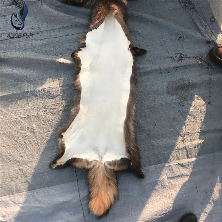 Raccoon skin28