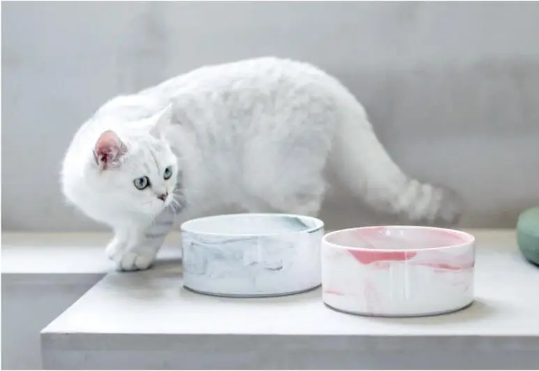 TECHOME New Type Pet Bowl Ceramic Marble Texture Cat Feeder Home Pet Ceramic Bowl Gold Rim Bowl Round Pet Feeders Wooden Frame