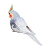 Cockatiel Parrot Bird Folding Cutting Mini Cute 3D Paper Model Papercraft Flying Animal Figure DIY Kids Adult Craft Toys QD-049 ► Photo 3/6