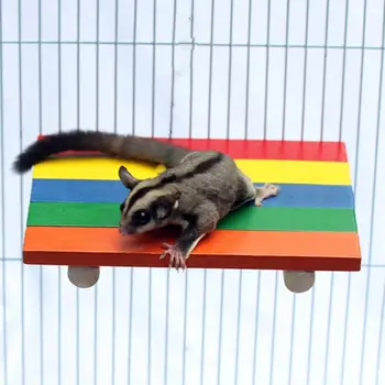 

Colorful Hamster Springboard Toy Wooden Platform Perch Stand Squirrel Climbing Board Suitable For Small Pets Of All Sizes