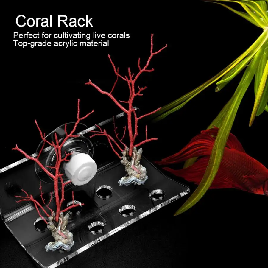 Air Acrylic Coral Rack Bracket Aquarium Fish Container Coral Frag Support With Suction Cup