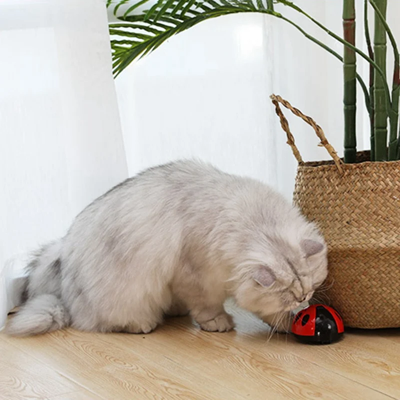 Прочные игрушки для кошек Mimi Любимое насекомое автоматический котенок игрушки для кошек Пластиковые Электрические игрушки для ловли кошек