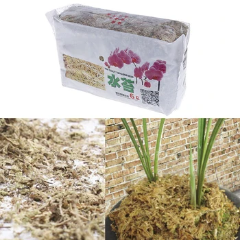 

6L Sphagnum Moss Bryophytes Phalaenopsis Butterfly Orchid Medium Moisturizing Nutrition Soil Nutrition Organic Fertilizer