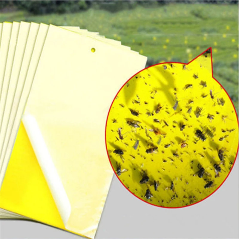 

Yellow Sticky Insect Killer Sticky Pad Garden Outdoor Insects Sticky Pad Whitefly Thrip Fruit Fly Gnat Leafminer Trap