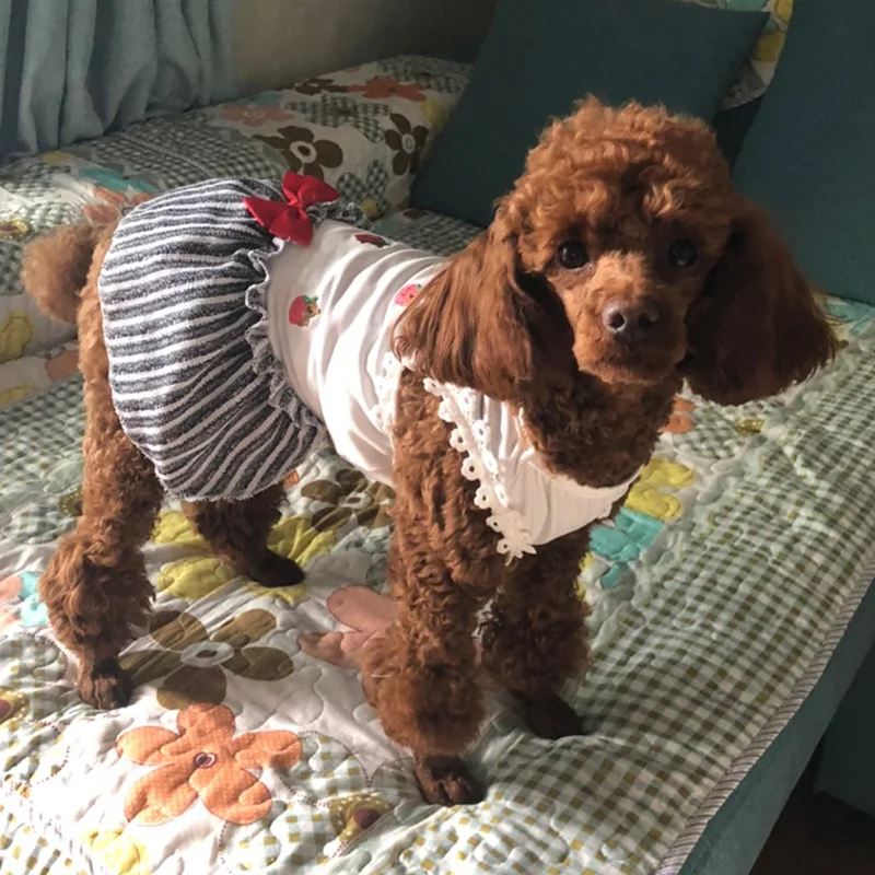 O1CN019D7Z6j1OKgl9k9KK6_!!0-rate