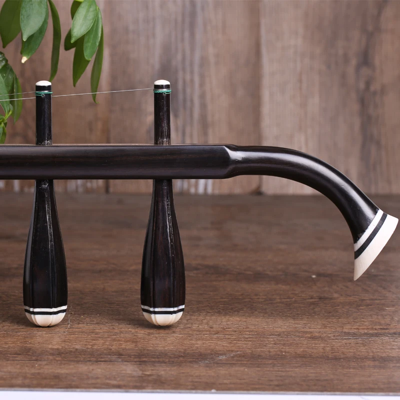Chinese Erhu Profesional Musical Instrument De Cuerda LuLinSheng Two Star Eruh with strings case bow instrumentos chinos
