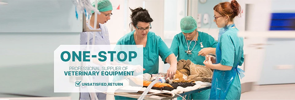 详情页-副本--改_01