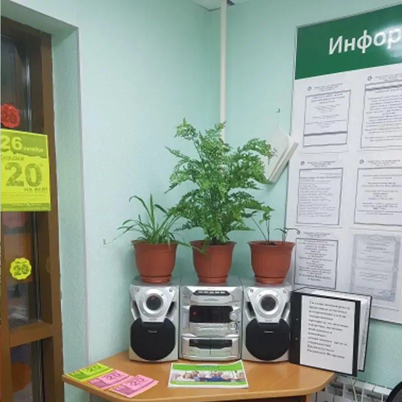 75 см высококачественный искусственный большой папоротник травяное дерево растение папоротник трава поддельное растение для домашнего сада декор декоративное растение дерево
