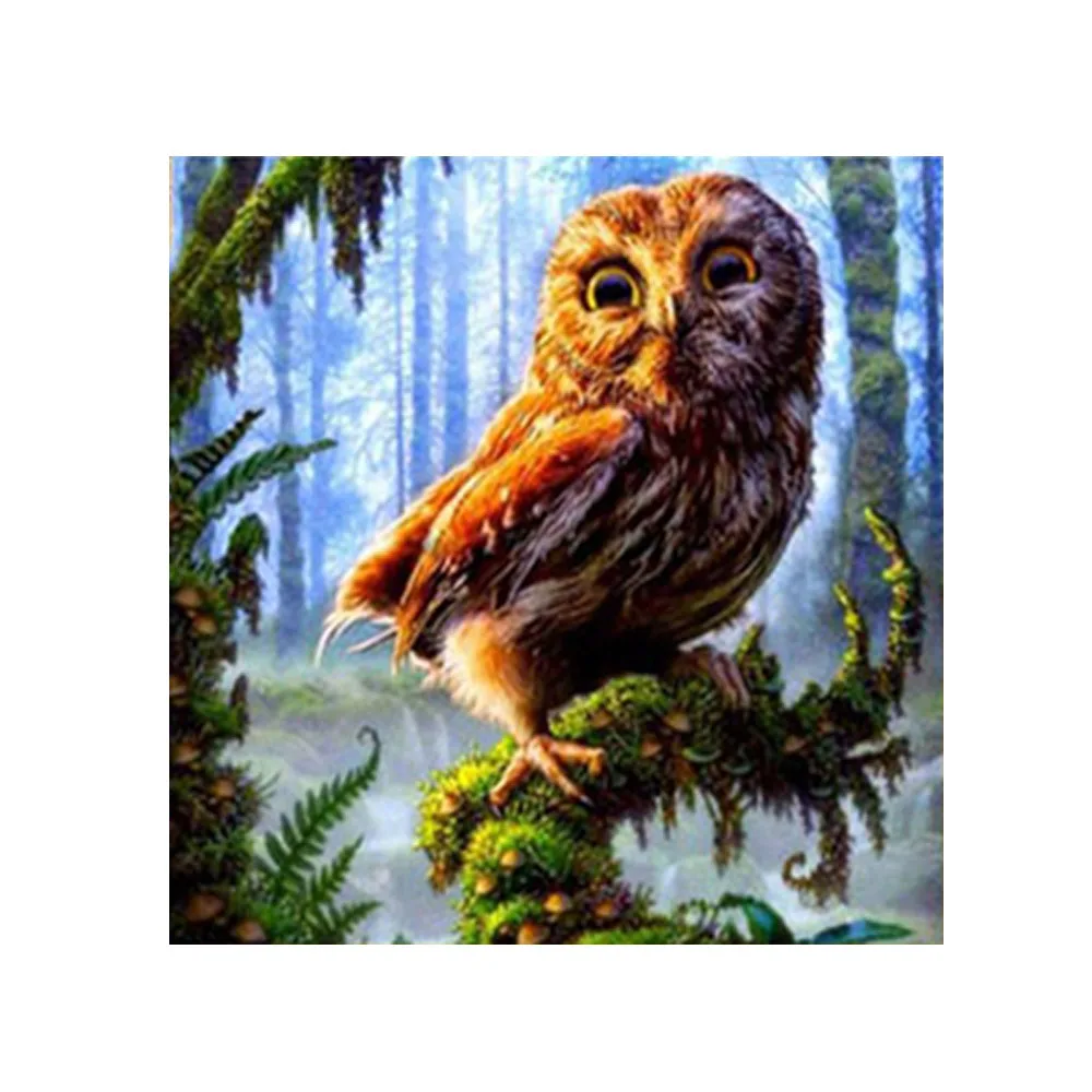 дэвид галчутт картины совушки. сова по номерам. картина маслом сова филин. картины по номерам на холсте совы. дэвид галчутт птицы.