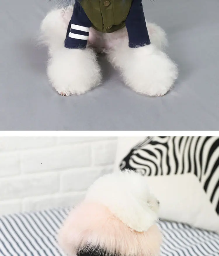 Luxury Fur Dog Clothes (7)