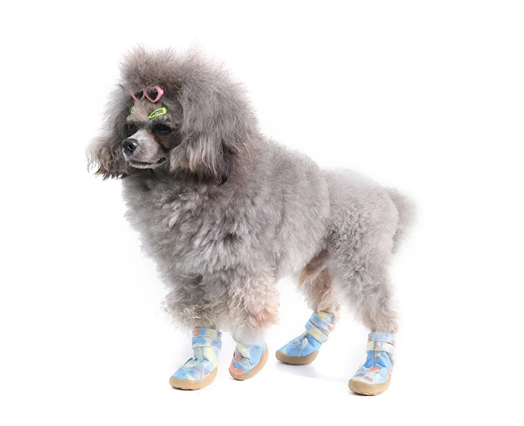 O1CN01LHpbuz1V9QFYikmiO_!!377562610