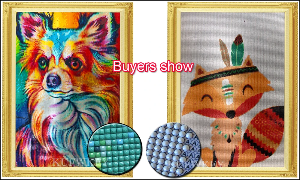 HTB1T1B6XEY1gK0jSZFMq6yWcVXaq