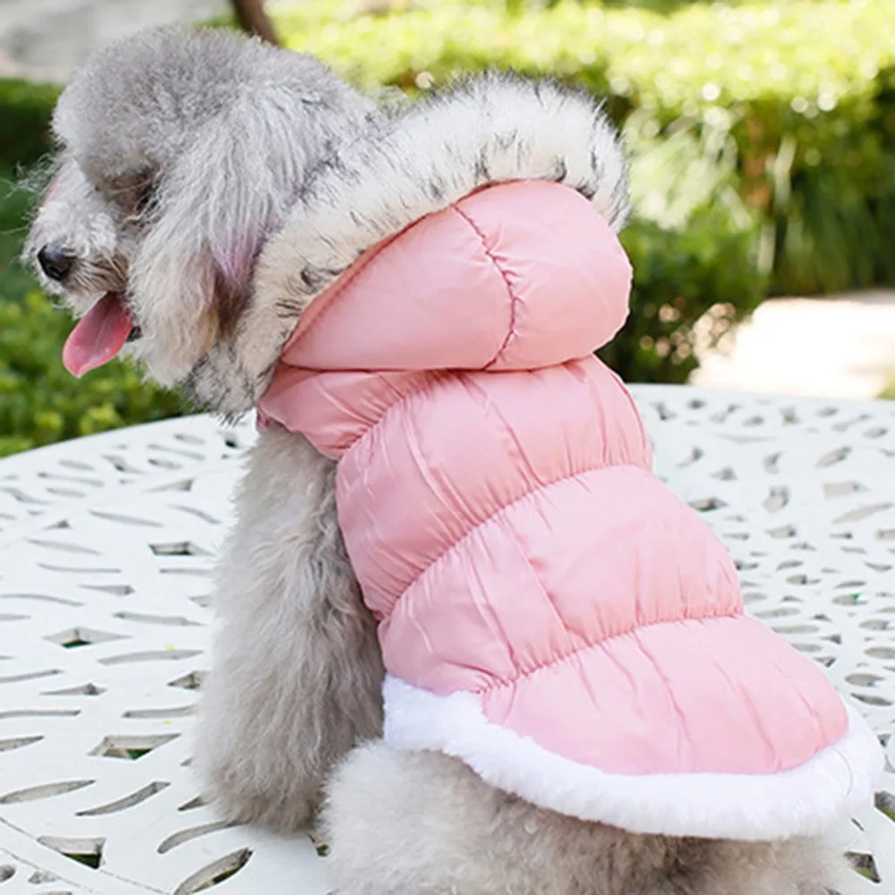 CJJ91216892PKL_0533562482717470205