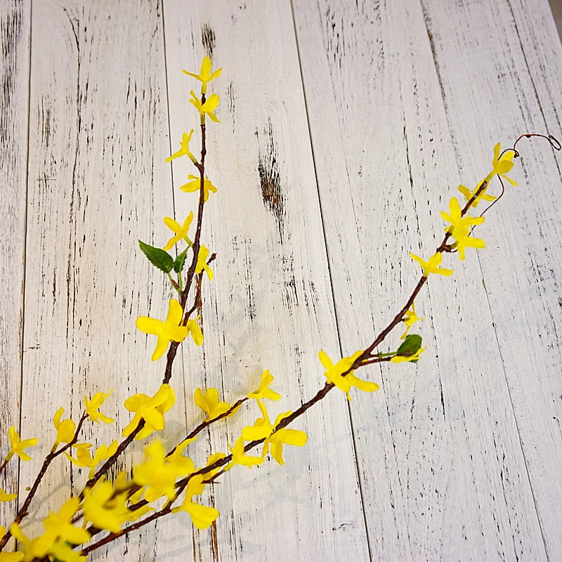 13749577016_874253957