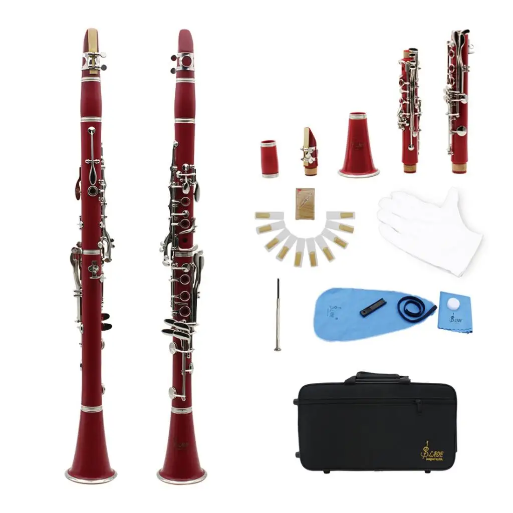 

1 Set Nickel Plated 17 Keys Black Pipe Reed Clip Bb Clarinet Woodwind Instruments for Instrumental Performance