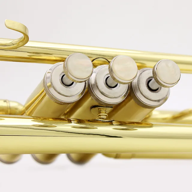 Kit Riparazione Tromba - Strumenti In Acciaio Per Manutenzione Strumenti Musicali, Ottoni - Foto 11