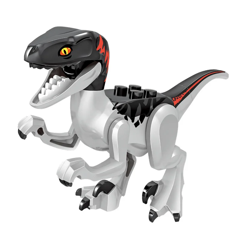 19416187874_492842187