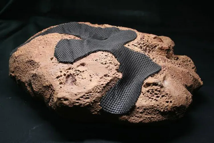 Description Picture 4 of item2mm Rainforest Water Tank Plant Epiphytic Mesh Fabric Planted Ecological Cotton Moisturizing Breathable Moss Fiber Air Net Cloth