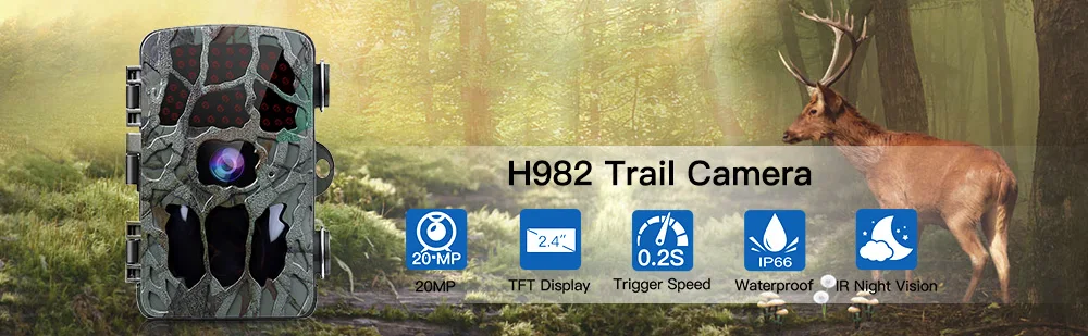 Haa623cbcba9f44ebb84b943ef12dbe6bB