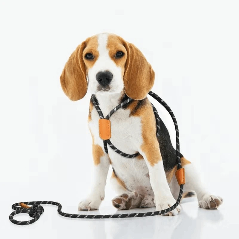 

Dog Harness Adjustable Buckle Leashes Large Dogs Harness Chihuahua Walking Lead Leash Dog Pet Harness Vest Pug Dog Accessories