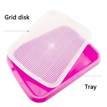 

Double-layer Plant Seed Germination Tray for Garden Greenhouse Beans Peas Mung Wheat Grass Alfalfa