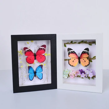 

Shadow Box Frame Depth 3CM Display Artwork, Flower,Plant, Coins,Photo,Tickets/Favorite,Home & Office Table Frame DIY Decoration