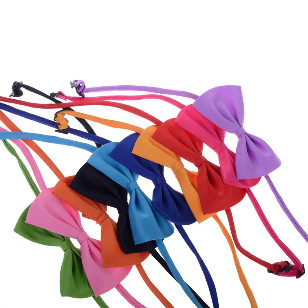 Ошейник для кошек и собак аксессуар ухода за животными 1 шт. случайные цвета яркие