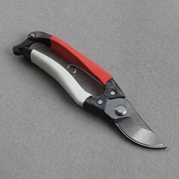 

Knife Gardening Branch