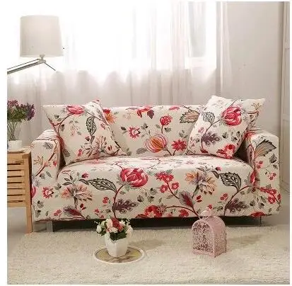 12628891423_488855794