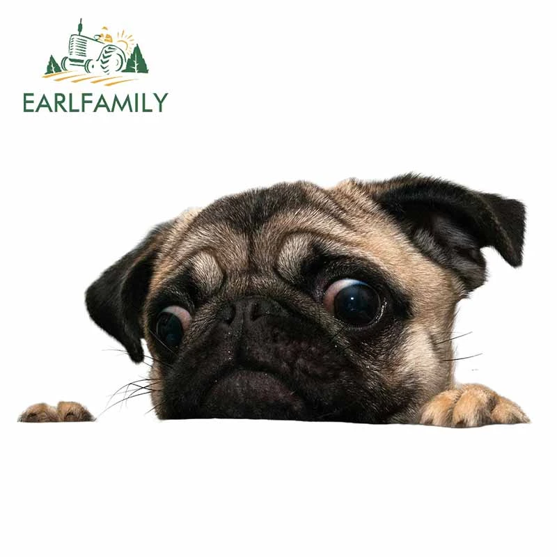 Earlfamily 13cm X 6 6cm For Pug Dog Peeker Fashion Car Stickers Anime Graphics Decal Sunscreen Windshield For Jdm Suv Rv Car Stickers Aliexpress Earlfamily 13cm X 6 6cm For Pug Dog Peeker Fashion Car Stickers Anime Graphics Decal Sunscreen Windshield For Jdm Suv Rv Car Stickers Aliexpress