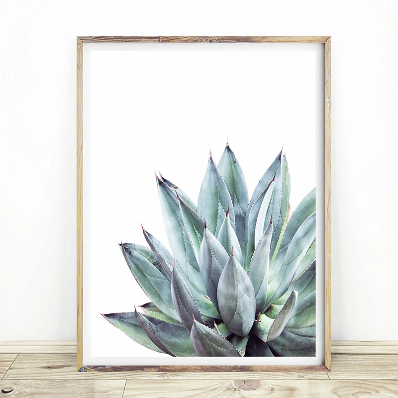 Свежий кактус алоэ вера Холст Искусство HD Печать суккуленты настенные плакаты